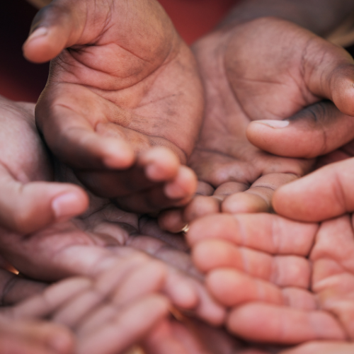 Untitled design - 2025-12-15T132224.752